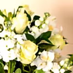 111005_closeup.webp