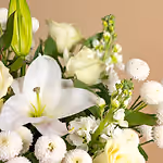 110713_closeup.jpg