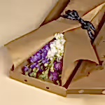 110757_letterbox.jpg