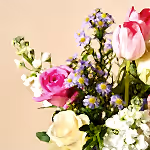 110681_closeup.jpg