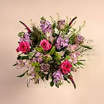 110788_overview.webp
