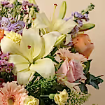 111122_closeup.jpg