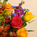110791_closeup.jpg