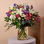 110792_image5.webp