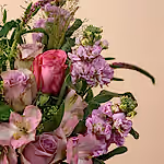 110788_closeup.webp