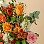 111119_closeup.jpg