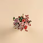 110883_overview.webp