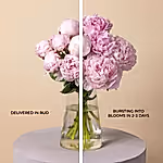 110601_in-bud.jpg