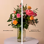 111090_in-bud.jpg