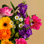 110714_closeup.jpg