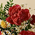 111089_close-up.jpg