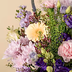 111520_closeup.webp