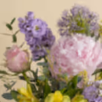 111524_close-up.jpg