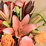 110726_closeup.jpg