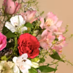 110722_closeup.jpg