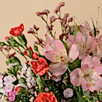 110883_closeup.webp