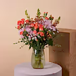 111519_image5.webp