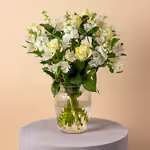 111005_standing.webp