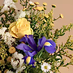 110721_closeup.jpg