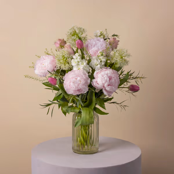 Allium Princess